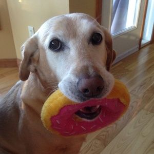 Meet your Posher, Erin